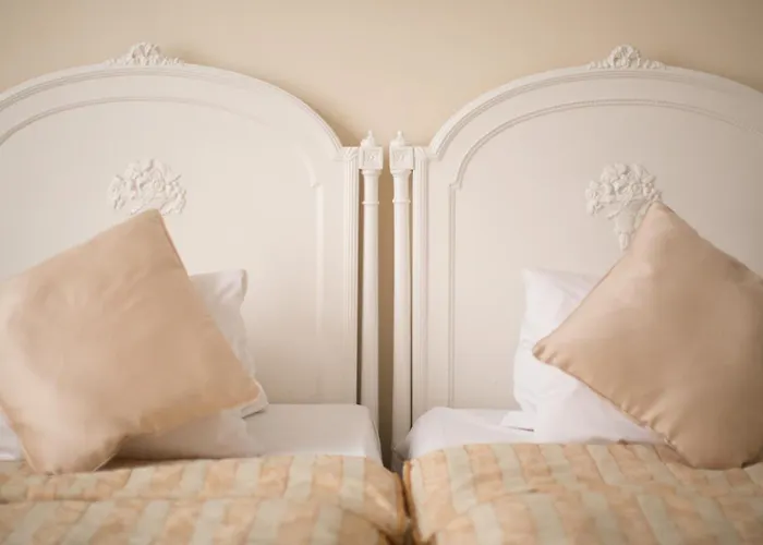 Hotel Ambassador Zlata Husa