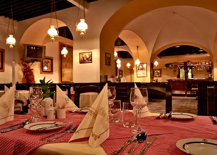 Hotel Ambassador Zlata Husa Praag