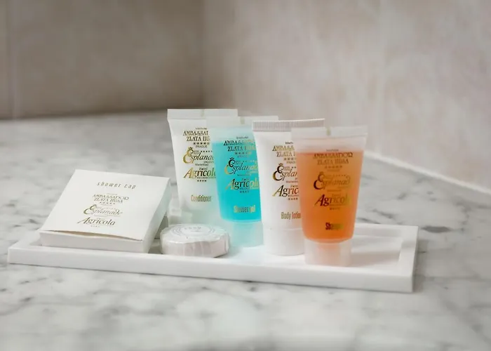 Ambassador Zlata Husa Hotel 5*