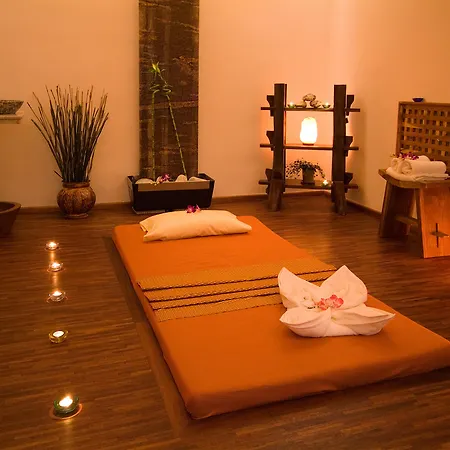 Ambassador Zlata Husa Praha