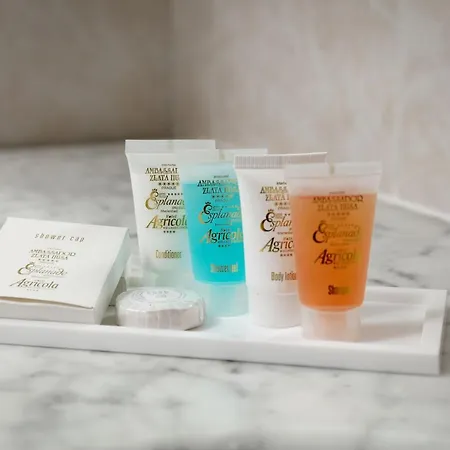 Ambassador Zlata Husa Hotel 5*