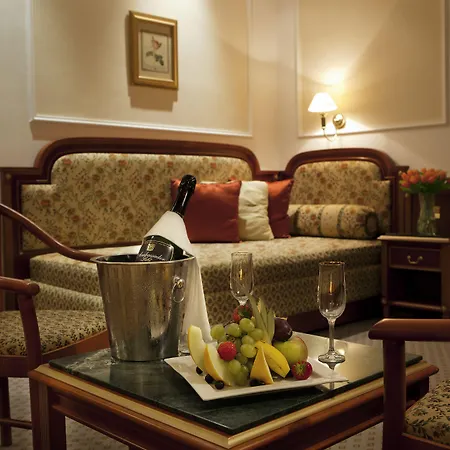 Ambassador Zlata Husa Πράγα